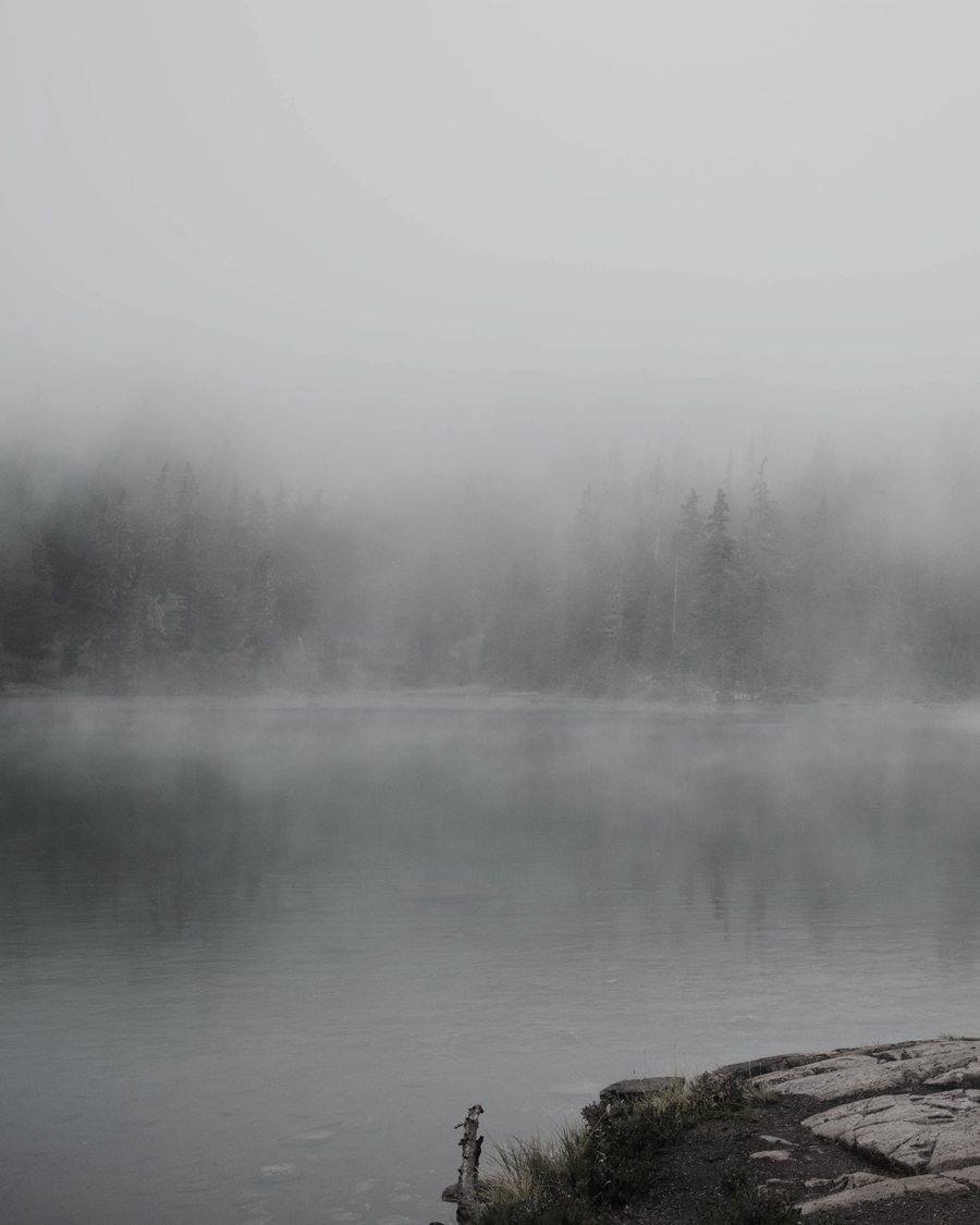 Een meer in de mist. De bomen aan de overkant zijn nog net te zien, de horizon niet
